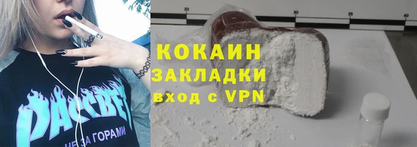 дживик Бронницы