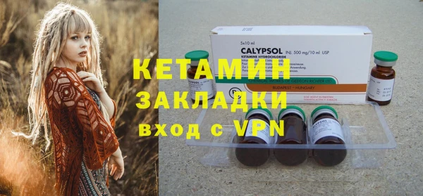 дживик Бронницы
