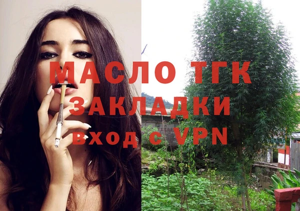 дживик Бронницы