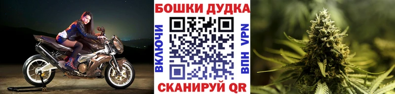 это формула Гатчина Бошки Шишки ГИДРОПОН